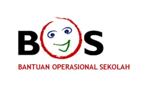 Bos 2