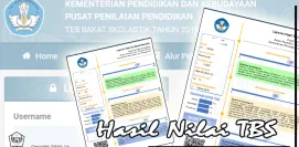 HASIL TES BAKAT SKOLASTIK TAHUN 2019